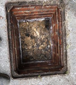sewer clean